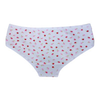 BRISA Bombacha anti flujo- PRE MENSTRUAL o NENAS de T2 al 14