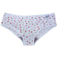 BRISA Bombacha anti flujo- PRE MENSTRUAL o NENAS de T2 al 16
