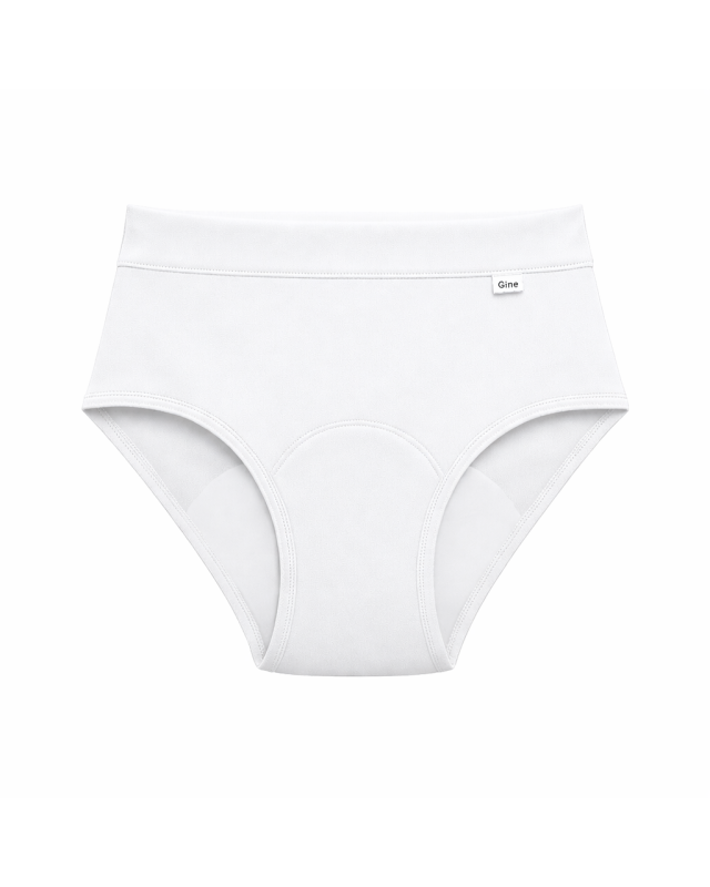 ALMA BLANCA Ya en stock Bombacha Tiro Alto Talles de 50 a 170 cm de cadera LA ELEJIDA